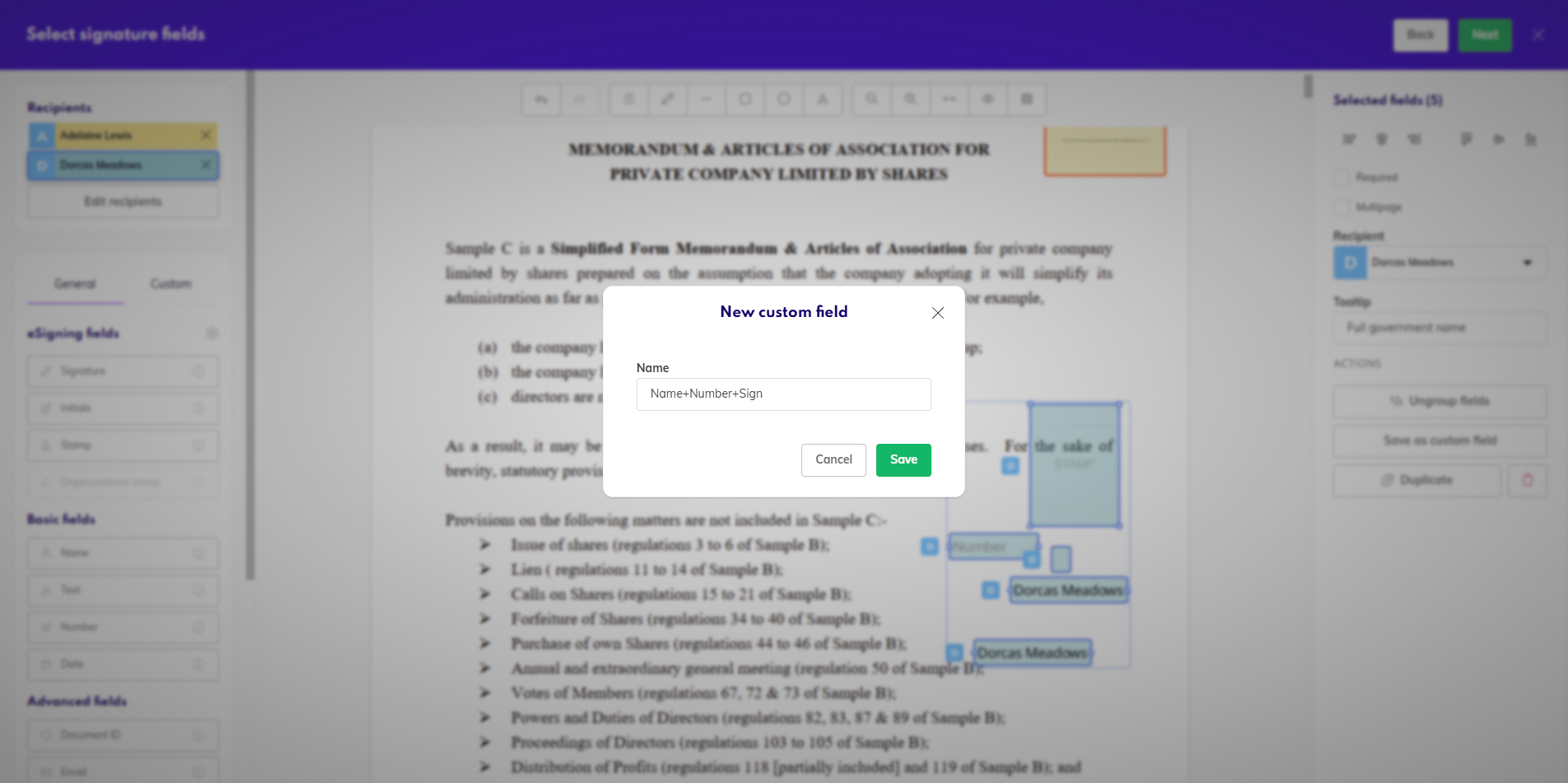 Name a new custom field.png