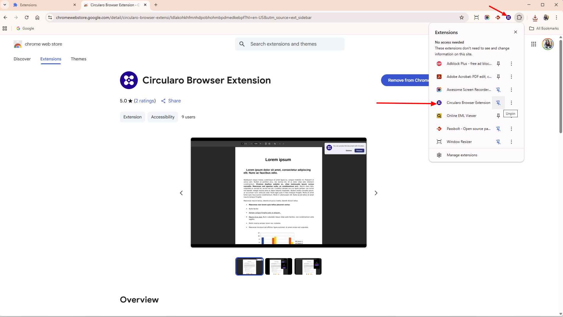 Accessing the extension.png